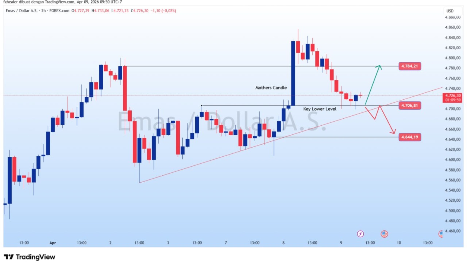 photo_6248857368062004925_y