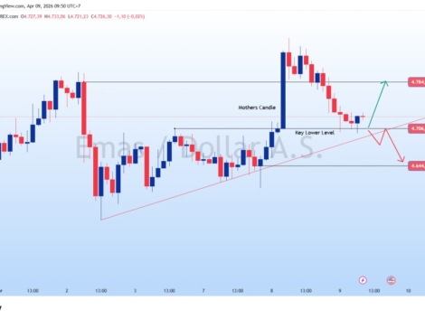 photo_6248857368062004925_y