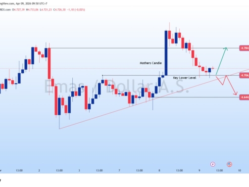 photo_6248857368062004925_y