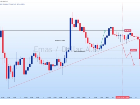 photo_6260171828043124316_y