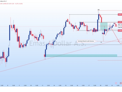 photo_6284890820825517927_y