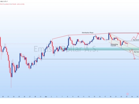 photo_6289495128846045134_y