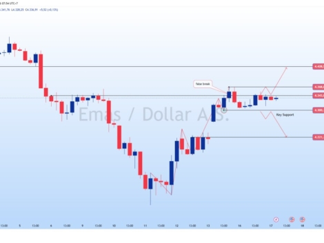 photo_6165826312971423691_y
